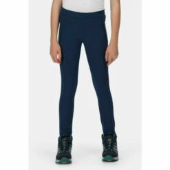Best Pirce 🔥 Regatta Isoflex &apos;Pentre&apos; Hiking Trousers For Female ⭐