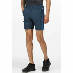 Buy 😉 Regatta Isoflex &apos;Highton Pro&apos; Hiking Shorts For Male ⭐