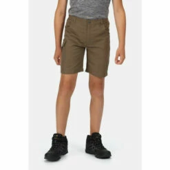 Wholesale 🎁 Regatta DWR &apos;Sorcer II&apos; Walking Shorts For Male ⭐