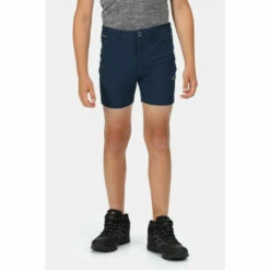 Hot Sale ๐ Regatta Isoflex 'Highton' Walking Shorts For Male ๐
