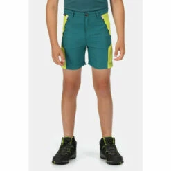 Cheapest ⌛ Regatta Isoflex &apos;Sorcer Mountain II&apos; Hiking Shorts For Male 🔔
