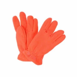 Budget 👍 Regatta &apos;Taz II&apos; Warm Lined Gloves For Female 🌟