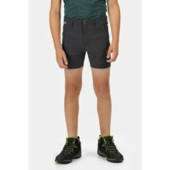 Brand new 👍 Regatta Isoflex &apos;Highton&apos; Walking Shorts For Male ⭐