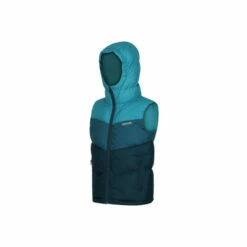 Cheapest 😍 Regatta &apos;Lofthouse&apos; Heavyweight Hooded Bodywarmer For Male ✔️