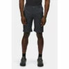 Deals 🎁 Regatta Isoflex &apos;Highton Long&apos; Hiking Shorts For Male 🔔