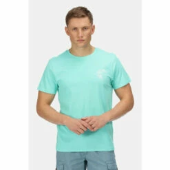 Top 10 ๐ฏ Regatta Coolweave Cotton 'Cline VI' Short Sleeve T-Shirt For Male ๐ฏ