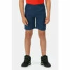 Best reviews of 🎉 Regatta DWR &apos;Sorcer II&apos; Walking Shorts For Male 👍