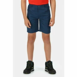 Best reviews of 🎉 Regatta DWR &apos;Sorcer II&apos; Walking Shorts For Male 👍