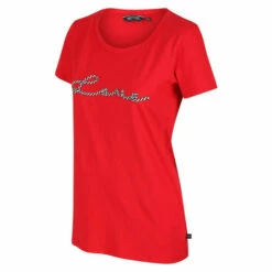 Best Pirce 😍 Regatta Coolweave Cotton &apos;Filandra VI&apos; Short Sleeve T-Shirt For Female 🧨